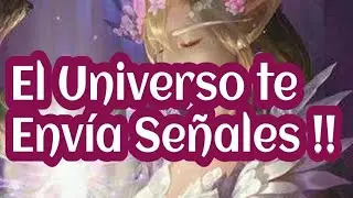 El Espiritu del Bosque Encantado 🎀🎉Deja de Buscar y Empieza a Manifestar !! 💖