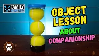 BEST FRIEND COMPANIONSHIP  - OBJECT LESSON