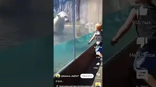 видео взял у Хасана)