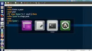 Shell Script to find the leap year