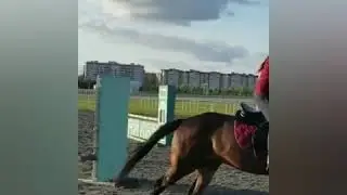 Бросочек 😋