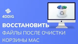 Лучший способ восстановить файлы после очистки корзины Mac - 4DDiG Mac Data Recovery!