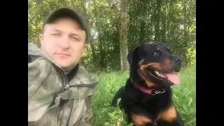 Что вечером стримить? Хз