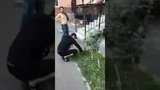 Звери пьяные в Питере