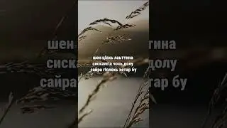 24. Даймахках лаьцна. ГIиллакхийн хазна – Ирсан некъаш