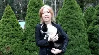 Learn Animal Communication, Online Class with Georgina Cyr for Intermetu.com