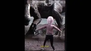 Spino edit 