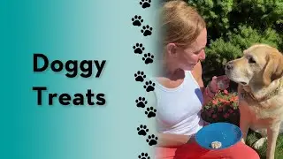 How to make frozen dog treats! 