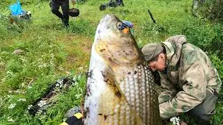 Рыбалка и уха на тувинской реке Додот