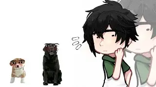— Walk like a Dog 🐕‍🦺_TR_🇧🇷🇺🇸_Ship: Takehina/Mitake?—