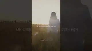 Моя любимая мадам #любовь #стихи #стихиолюбви #поэзия