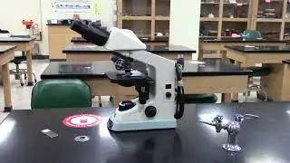 Introduction to Bio 1101 Microscopes and How to Use Them