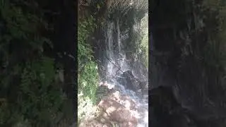 Kanser değil biz güçlüyüz yeterki inancını bir an olsun yitirme günün değil anın keyfine var...