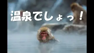 【 秘湯を守る会 】 ～貝掛温泉～