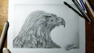 Drawing a Eagle