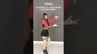Tutorial JISOO FLOWER espelhado, com contagem