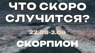 СКОРПИОН 🍀 Прогноз на неделю (28.08-3.09 2023). Расклад от ТАТЬЯНЫ КЛЕВЕР. Клевер таро.