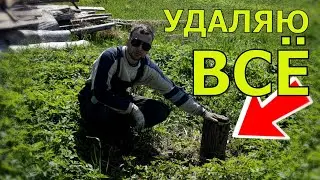УДАЛЯЮ ВСЕ / КАК УДАЛИТЬ ПНИ НА УЧАСТКЕ /  КАК УБРАТЬ ПЕНЬ / ИЗБА / ДОМ В ДЕРЕВНЕ / ДЕРЕВНЯ