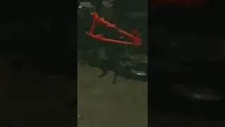 Mera video