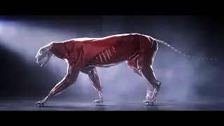 Breakdown: Panthera - A Creature Study