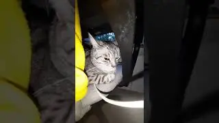 Ноль внимания, Zero emotions.