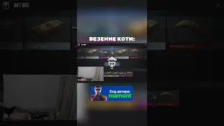 ВЕЗЕНИЕ КОТИ 😂 