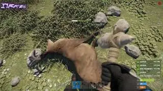 IQRates - resource rates for RUST (English)