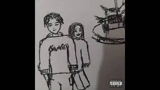 DECCALNSAVAGE