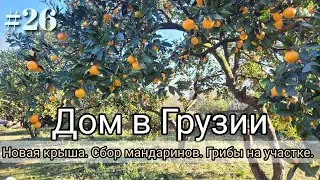 #26 Дом в Грузии. Новая крыша