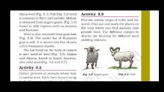 Pashmina Shawls are made up of, Angora goat , wool is made up of, wool yielding animals