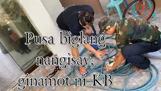PUSA NA BIGLANG NANGISAY GINAMOT NI KB