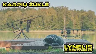 Karpių žvejyba. Lynelio ežeras - 6 sektorius (rugsėjis). (Carp Fishing @ Lynelis lake)