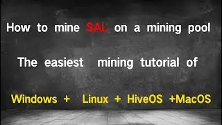How to mine SAL(Salvium) on a mining pool, The mining tutorial of Windows+Linux+HiveOS+MacOS