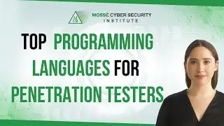The top programming languages to learn as a penetration tester