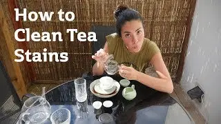 How to Clean Tea Stains | A Simple Guide to Cleaning Your Teaware