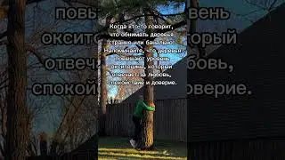 Обними своё дерево 🌳💓