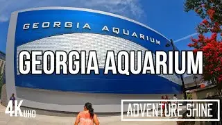 Georgia Aquarium - Atlanta, GA USA