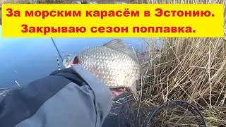 Поездка за морским карасём.Закрытие сезона поплавка.Pēc jūras karūsām.Pludiņsezonas noslēgums.
