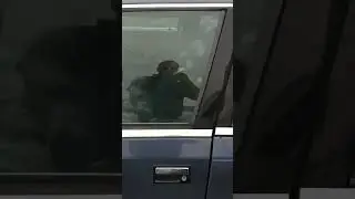 Что за модель?какой год?
