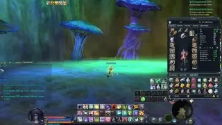 Aion 3.0 SWAT Каспар КПД на 59 ур.