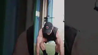 Train hard 🦈 