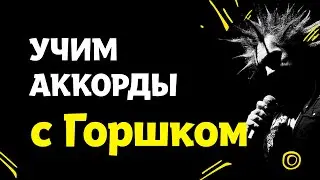 Прыгну со скалы: как Король и Шут ставят аккорды на концертах?