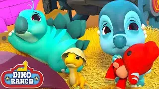 The Dino Mites Are Upset! | Dino Ranch