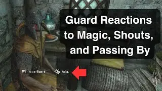 Guard Reactions to Magic, Shouts and Passing By | Skyrim