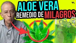 ALOE VERA PENCA SABILA Y SUS INFINITOS BENEFICIOS MILAGROSOS - Oswaldo Restrepo RSC