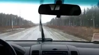 Медведь на дороге