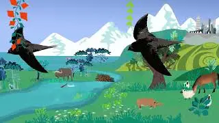 The future we can and must chose  nature based solutions -  Nathalie Seddon
