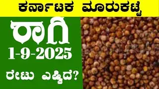 1-9-2025 l ರಾಗಿ ಬೆಲೆಗಳ ವಿವರಣೆ l #bealertjob  #onionRates l ಕರ್ನಾಟಕ ಮಾರುಕಟ್ಟೆ l @BealertJob   