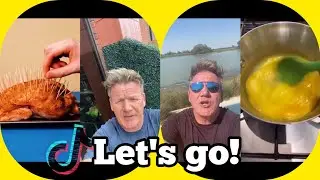 Gordon Ramsay Reacts To TikTok ToothPick Chicken Recipe And More!