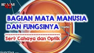Bagian-bagian Mata Manusia dan Fungsinya